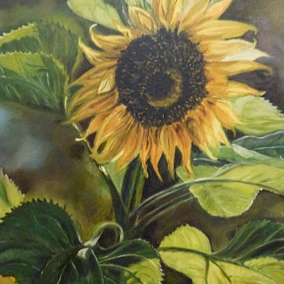Sonnenblume, 30x40cm