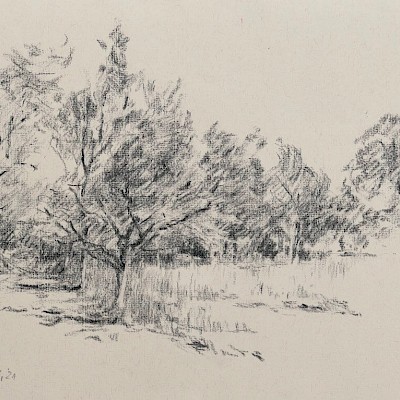 Obstgarten, 2021, Kohle auf Bütten, 24 x 31 cm