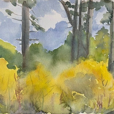 Ginster-Wald-Himmel, Aquarell, 40x58 cm, Klopotowo 2022